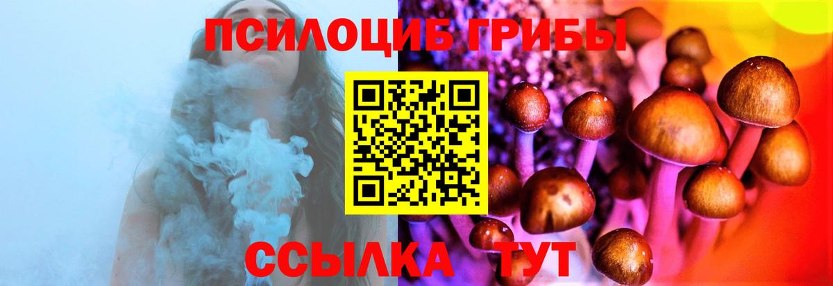 Калач-на-Дону  Галлюциногенные грибы Psilocybine cubensis  Вход с VPN 